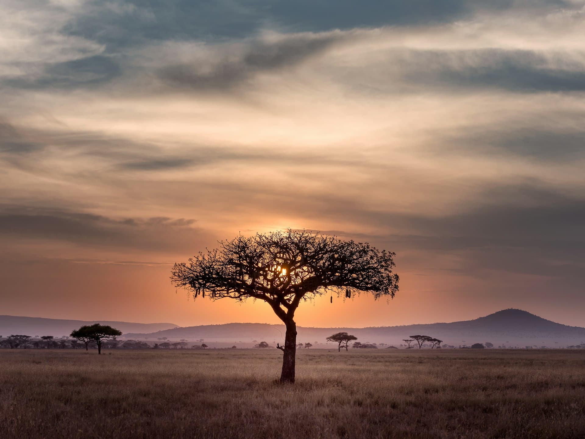 Eswatini landscape